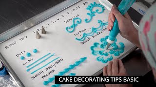 Ultimate Cake Decorating Piping Tips Buying Guide  Cake Decorating For Beginners [upl. by Enived328]