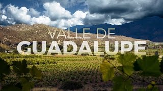 Valle de Guadalupe Descubre la Ruta del Vino [upl. by Branch]