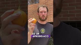 🇨🇴🥒🍊🍍🍈🇨🇴Ep 1 Granadilla frutascolombianas frutas bogota paloquemado colombia🇨🇴 [upl. by Ecnarf]