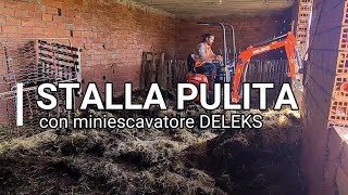 STALLA PULITA con miniescavatore DELEKS [upl. by Verda]