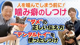 【ドギーマン×みやぞん】噛んでイイ・ダメがわかる子に🐶子犬のときにやっておくべき噛み癖のしつけ [upl. by Adnawot]