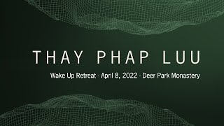 Wake Up Retreat  2nd Dharma Talk  Thay Phap Luu  20220408 [upl. by Jaquiss]