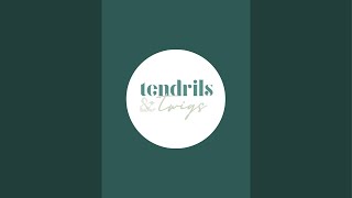 Tendrils and Twigs Salon Spa is live [upl. by Gearard]