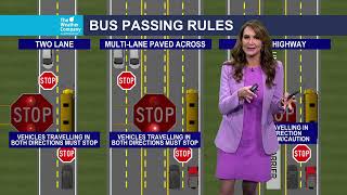 Driving rules when around a school bus [upl. by Kip]