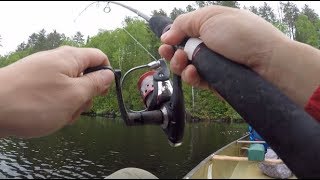 WayTooEasy Walleye Fishing on Sawbill Lake BWCA [upl. by Eiboh411]