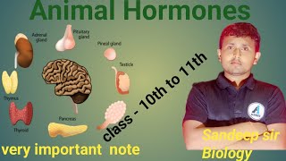 class 10 Hormones [upl. by Franzen]