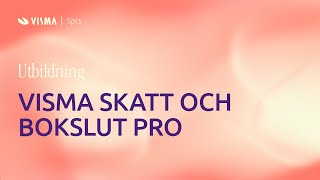 Visma Skatt amp Bokslut Pro för företagare [upl. by Desta496]