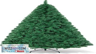 COSTWAY 8Ft Artificial PVC Christmas Tree WStand Holiday Season Indoor Outdoor Green Review [upl. by Anawait]