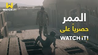 الممر  فرحة أبطال مصر بالنصر 🔥✌️ [upl. by Bobbie]