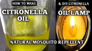 HOW TO MAKE CITRONELLA OIL LAMP  DIY CITRONELLA OIL  NATURAL MOSQUITO REPELLENT  NATURER [upl. by Eyanaj673]