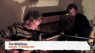 New Irish band  The Wildlings  Performing quotChrysalisquot Live 21 12 2012 [upl. by Oremo]