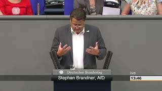 Kinderrechte ins Grundgesetz Stephan Brandner bringt Grüne und Linke zum Toben [upl. by Daj457]