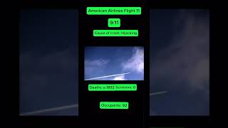 American Airlines Flight 11 [upl. by Eidahs910]