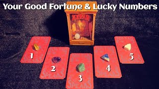 🔮Good Fortune amp Lucky Numbers  PickACard [upl. by Ennyletak]