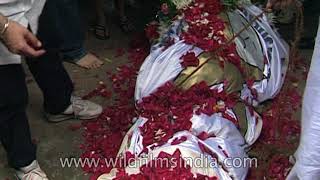 Actor Rajendra Kumar passes away Mumbai 1999 [upl. by Yrocal]