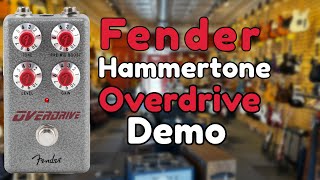 Is The Fender Hammertone Overdrive Versatile [upl. by Sperry]