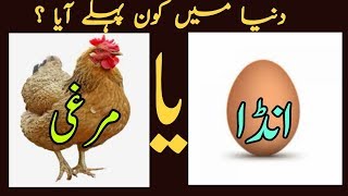 dunya me murgi pahle aayi ya anda who came first hen and egg [upl. by Glennis386]