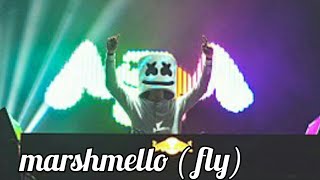 marshmello  fly lyrics [upl. by Bertle]