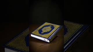 Moutasem AlHameedi Surah AlFurqan Ayat 2177 Heartfelt Recitation [upl. by Isus]