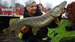 Matze Koch Streetfishing Teil 2  Matzes Mätzchen 112012 [upl. by Avehsile]