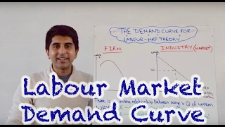 Labour Demand Curve Market and Firm [upl. by Agarhs]