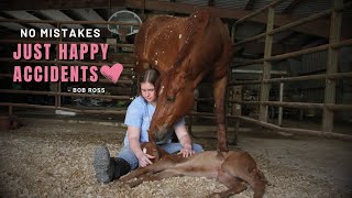 HORSE BIRTH  Baby Horse RUNS Right After Birth [upl. by Majka]