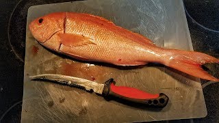 Catch and Cook Best Tasting Fish In The Ocean Vermilion Snapper AMAZING [upl. by Ecar]