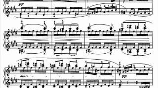 Ashkenazy plays Beethoven Sonata No27 in E minor Op90 complete [upl. by Kynthia]