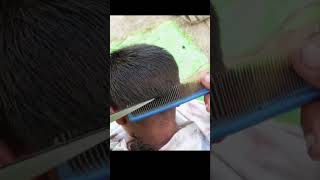 Traditional Haircut ASMR✂️ shavealready asmr shaving Haircut barberasmr [upl. by Olimreh]