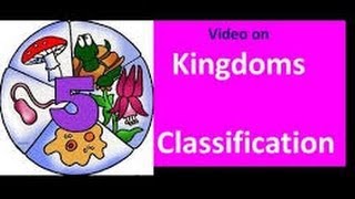 Classification of Living things for Kids [upl. by Eirellav522]