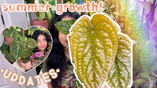 Summer Growth🍃 Favorite New foliage 😍🙃 [upl. by Macey]