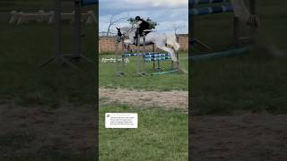 Gardeur gets stronger on the grass🤭 Ytd training gilaryeq equestrian showjumping horse fyp [upl. by Annelise]