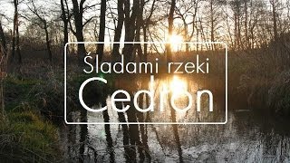 Śladami rzeki Cedron  cała rzeka  Wejherowo [upl. by Selia]