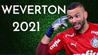 Weverton Melhor Goleiro do Brasil  Palmeiras em 2021 [upl. by Sherlocke691]