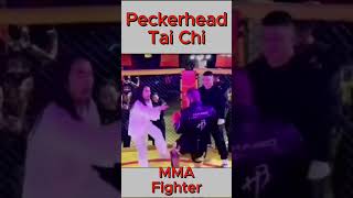 funny Tai Chi master vs MMA fighter [upl. by Naerol356]