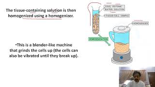 Chapter 3  Cell structure and functions  Part 1  Cell Fractionation  Sindh Text Board [upl. by Kidder]