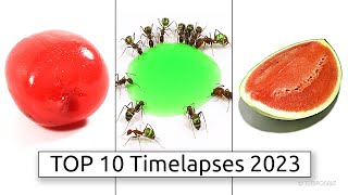 TEMPONAUT TOP 10 Timelapses 2023 [upl. by Nailluj]