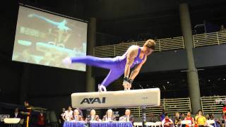 Alex Naddour  Pommel Horse  2012 Winter Cup Finals [upl. by Lesab]