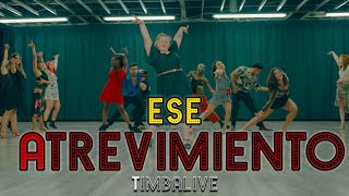 Timbalive  Ese Atrevimiento Dance Video Choreography  MihranTV [upl. by Elirpa]