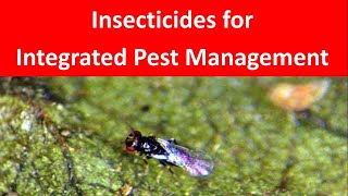 IPM  Role of Insecticides in Integrated Pest Management [upl. by Atsira]