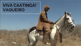 Viva Caatinga Vaqueiro [upl. by Reiner]