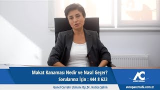 Kanama nasıl durdurulur kanamalardailkyardım kanamanasıldurdurulur kanamayınedurdurur akut [upl. by Collin825]