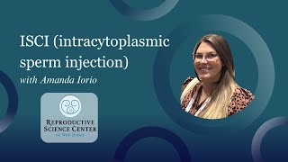 ICSI intracytoplasmic sperm injection with Amanda Iorio [upl. by Cuthburt]