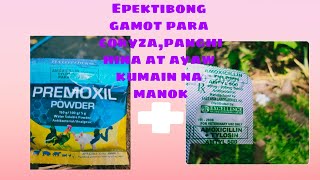 Mabisang Gamot para sa Coryza at panghihina ng manok [upl. by Annoed]