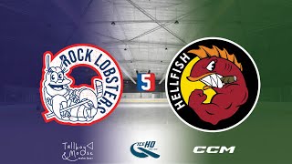 Rock Lobsters VS Hellfish  Div 5  14th November  IceHQ Rec League ice hockey [upl. by Rochette]