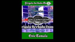 SRIGALA BERBULU DOMBA II KARAOKE II NADA CEWE II dangdutkaraoke karaokemusic NMNshorts [upl. by Brownson]