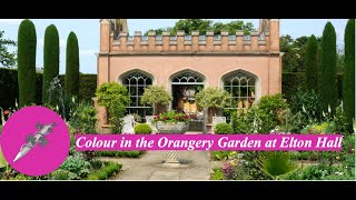 Colour in The Orangery Garden at Elton Hall [upl. by Erodisi]