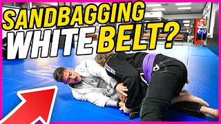 Sandbagging BJJ White Belt Challenges Purple Belt Then [upl. by Celin192]