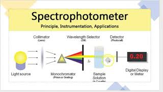 spectrophotometer working principle [upl. by Notlek]