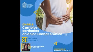 Charla Cambios Corticales en Dolor Crónico 31 agosto 2020  KinesiologíaUC [upl. by Costello565]